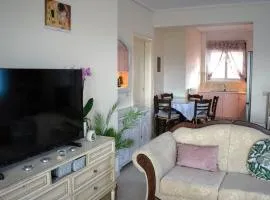 Calma House