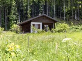 Chalet in Bodental near Ski Slopes