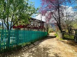 Family Hotel Sunrise merisi