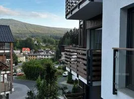 Apartament Centrum Park 654