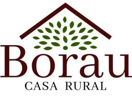 Casa Rural Borau