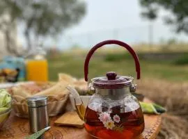 Camping villa lake shkodra