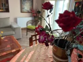 Dimi view home
