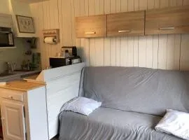 Family studio near the slopes of Praz-sur-Arly