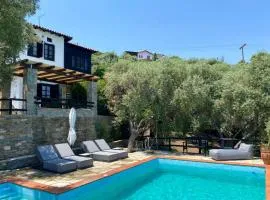 Villa Valia: Traditional Luxurious Residence