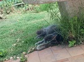 Casa al Mare con Giardino Privato
