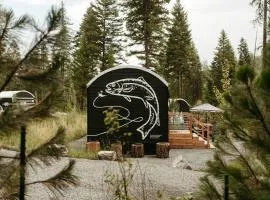 The Fish Haus A Montana Tiny Cabin Forest Retreat