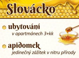 Apidomek, hotell sihtkohas Ostrožská Lhota
