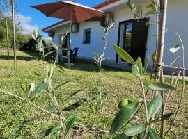 Villa Red Melons