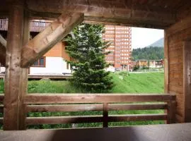 Résidence Alpine Loft - 5 Pièces 10 pers- HAUT DE GAMME - ALPINE LOFT - 10ALPI - PLAGNE CENTRE MAE-2634