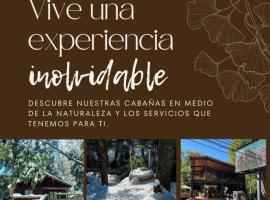 Cabañas Termas de Chillán, hotel in Las Trancas