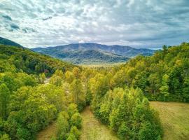 Restful Bungalow, Pickleball Court, Creek, WIFI, Mountain Views, Starting at 79", hotel em Cosby