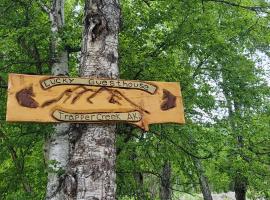 Trapper Creek에 위치한 게스트하우스 Lucky Guesthouse