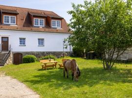 Ferienwohnung "FLORI's PONYHOF", agroturismo en Kröpelin