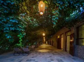 Dunhuang Hu Yang Inn