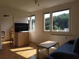 Apartmán One To One