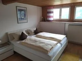 Ferienwohnung Hofmann mit Balkon und Donaublick