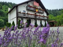 Casa Ursului