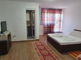 Camere de închiriat Alex