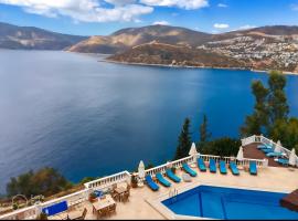 Amazing 2 bedroom penthouse!