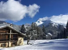 La ferme des ours - sur les pistes, vue Mont-Blanc
