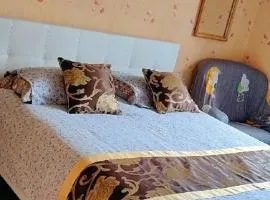 Chambre dans maison individuelle avec rez-de-chaussée partagé - cuisine, salle, salon et salle de bains