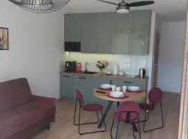 Apartament Zagi z miejscem parkingowym