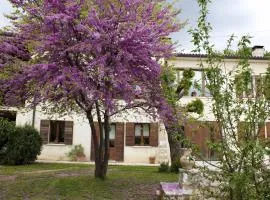 B&B Altè