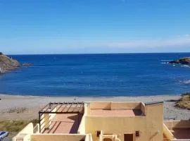 Studio avec terrasse, accès plage, parking. Animaux acceptés - FR-1-225C-5