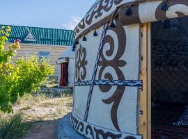 Guest house and yurt camp Svetlana