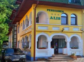 Pensiunea Alis, Hotel in Caciulata