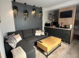 Luxury Studio, allotjament amb cuina a Iaşi