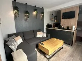 Luxury Studio