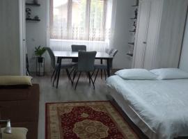 Fully Furnished Studio