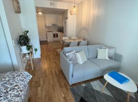 SiilinPiha central apartament Siilinjärvi、シーリンヤルビのスキーリゾート