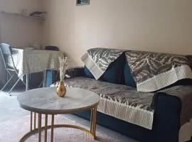 Elegant F1 proche tramway et plage