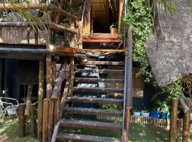 Sweet Melody Tree House