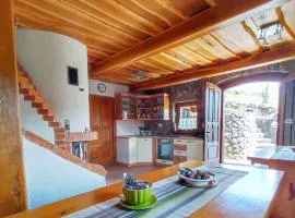 Holiday home in Dolenjske Toplice - Kranjska (Krain) 51092