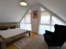 Domek na Kaszubach 23-2 - Ostoja Bukowo