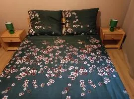 Apartament Koliber 1km od Energylandii