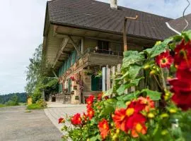 Ferienwohnung auf Bauernhof mit Hotpot und Sauna