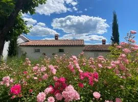 Calma bungalows