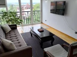 Apartman Visnjica