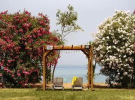 Domus Del Mare