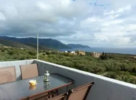 The view in Alika