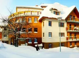Apartmány Rokytka u sjezdovky