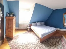 Designer apartment with rooftop