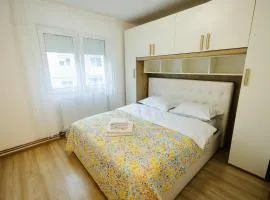 Apartamentul Anisiei