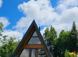 Gorska bajka - Tisa, planinska kuća za odmor i wellness、Stara Sušicaのシャレー