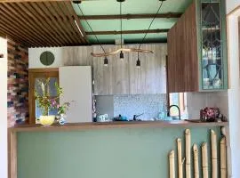 Eco Art House